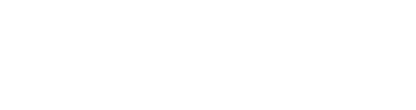 Binary Division logo