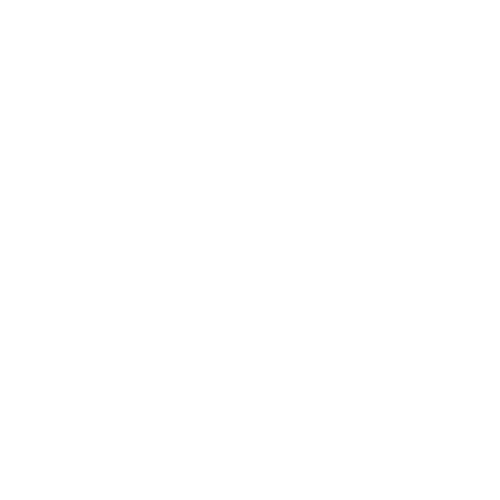 DUST IN MIND logo