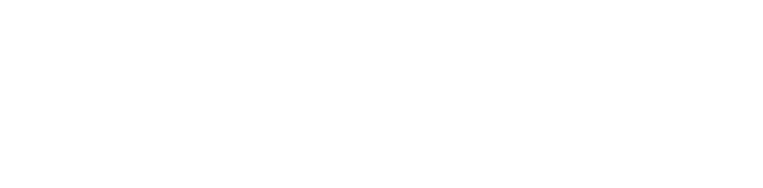 The Silverblack logo
